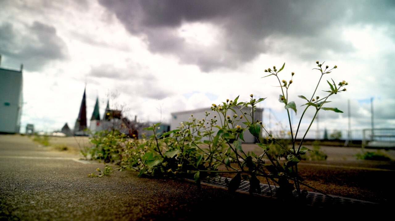 WIE ENTSTEHT EIN URBANES WIR, Schauburg, 18.05.2022